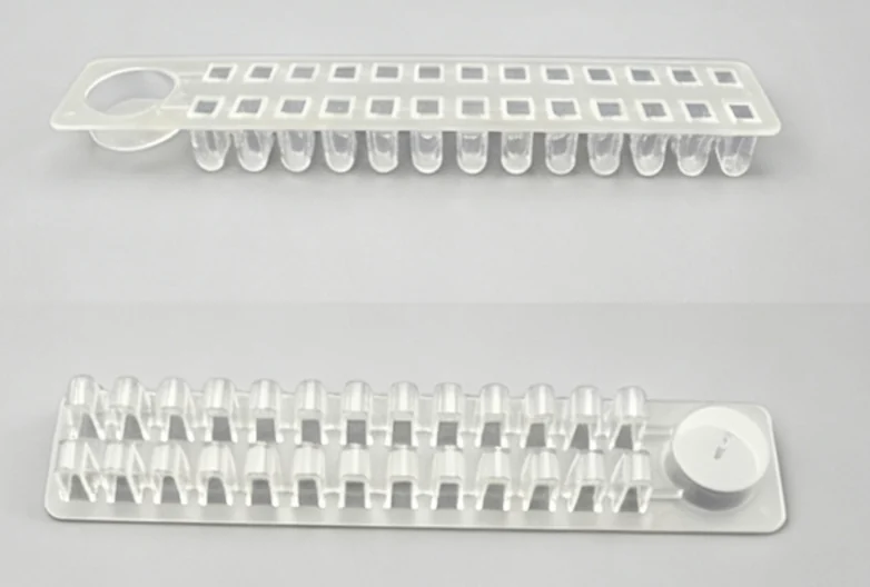 Transparent Dual-Row Lens Module and Double-Layer Lens Holder
